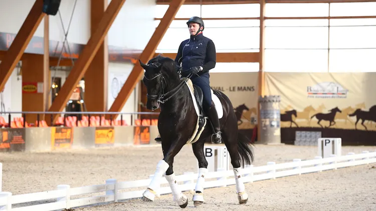 Lors du regroupement de l'équipe de France, Ludovic Henry a présenté Casanova S, un hongre de onze ans.