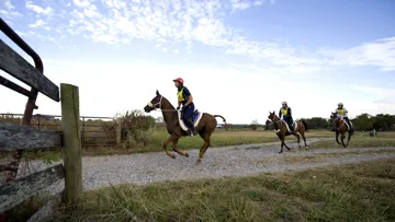 Image d'illustration