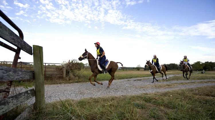 Image d'illustration