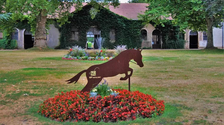 ©Institut Français du Cheval et de l’Equitation Grand Est