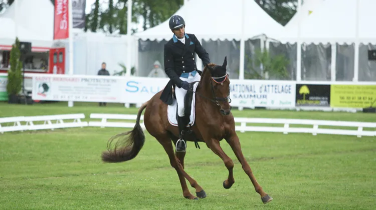Propriano de l'Ebat et Luc Chateau ont été harmonieux en dressage (@P Chevalier)