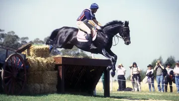 En 2000, David O'Connor a décroché l’or individuel aux JO de Sydney avec le brillant Custom Made.