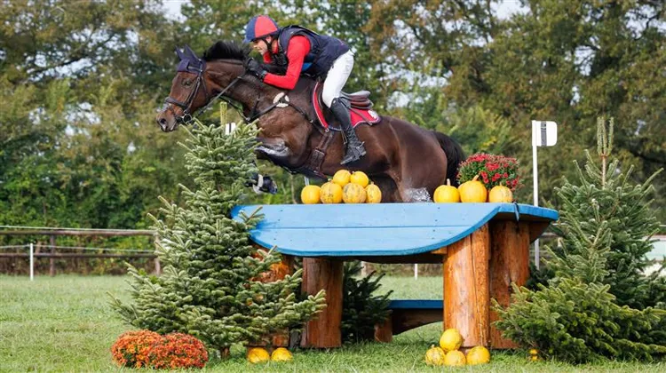 Comme l'an passé, c'est Lignières qui accueillera le CCIO 4*-S de France. 