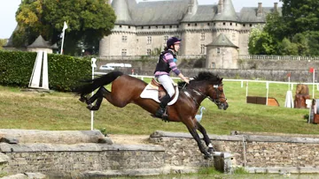 Boston du Verdon, formidable champion des CL3