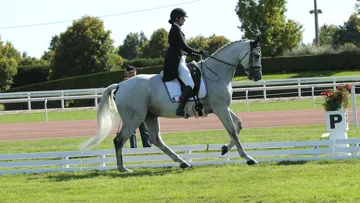 Thais Meheust a déroulé une reprise aux petits oignons avec son Risotto Mail