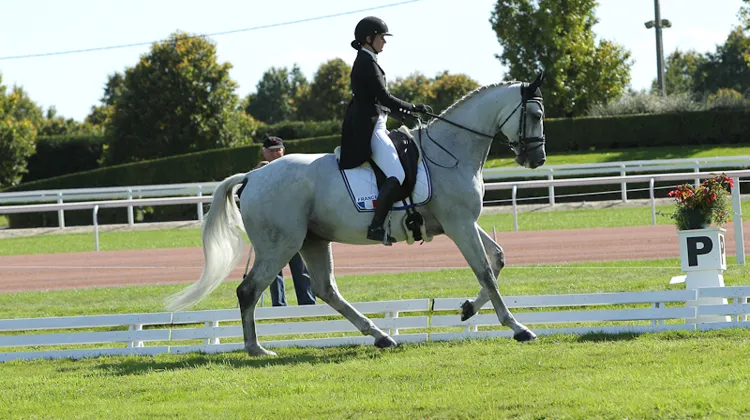 Thais Meheust a déroulé une reprise aux petits oignons avec son Risotto Mail