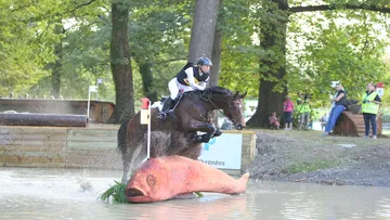 Ingrid Klimke seule en tête après le difficile cross à Pau (@ P Chevalier)