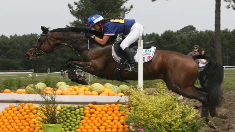 Gwendolen Fer et Leria du Ter lors du CCI de Saumur - Photo Scoopdiga