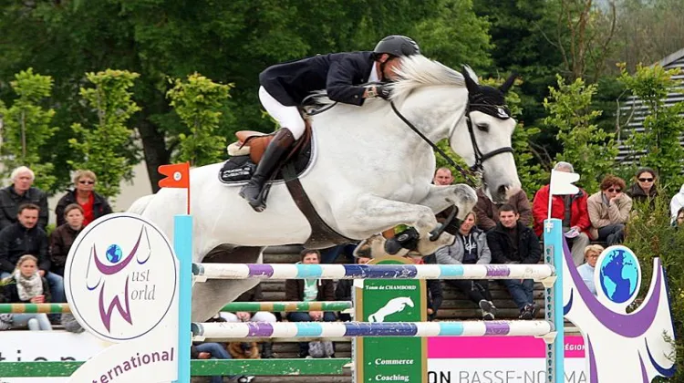 David Jobertie et Quastor de la Vallée s'affirment de concours en concours. Photo Marc Verrier