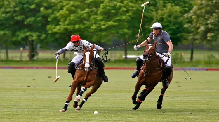 Tito Ruiz Guinazu, de l'équipe Blacktorm/Why Not, et Brieuc Rigaux de l'équipe Lynx © RB Presse