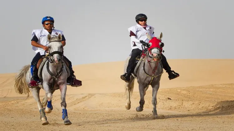 Une trentaine de concurrents ont participé samedi au CEI 2* dans le désert qatari. Photos Al Shaqab