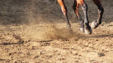 Pour être fonctionnelles, les carrières en sable ont besoin d'un arrosage précis et régulier.