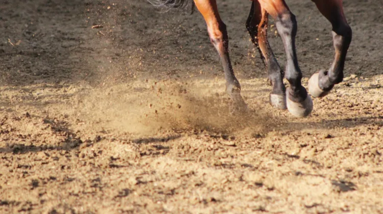 Pour être fonctionnelles, les carrières en sable ont besoin d'un arrosage précis et régulier.