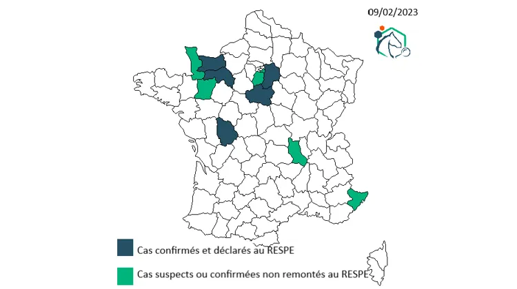 État des lieux de l’épizootie au 8 février.