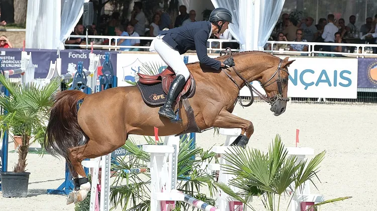 Falko de Hus*GFE champion des sept ans avec François-Xavier Boudant