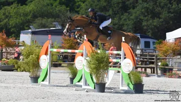 Simon Lorrain remporte le Grand Prix du Horse Pilot Jump Festival avec Quavaroti Val Fleury