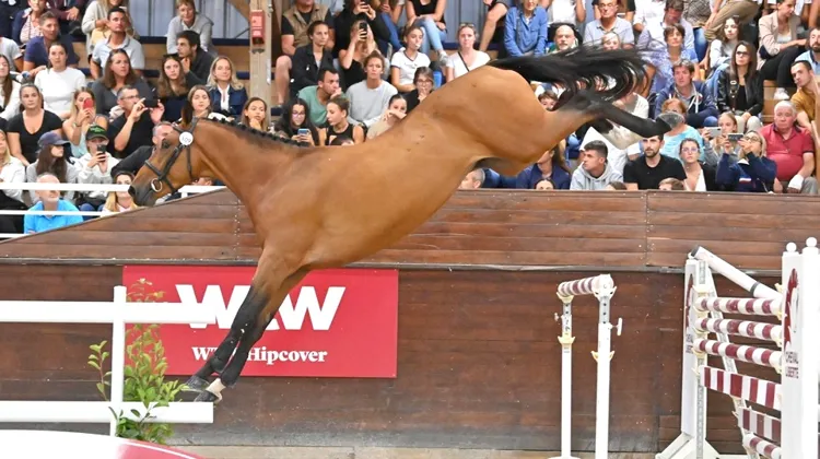 Jazz du Rouet, top price de la soirée à 145.000 euros