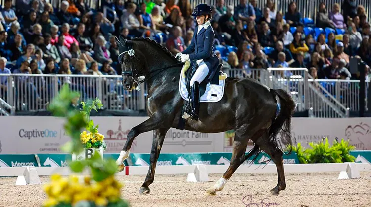 Cet hiver à Wellington, Laurence Vanommeslaghe et Edison ont vécu deux merveilleuses Reprises Libres en Musique.