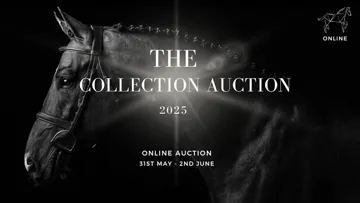 The Collection Auction 