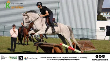 Les formations hippiques en apprentissage : une porte d'entrée dans le monde du cheval