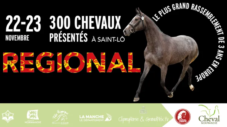 La finale régionale des trois ans de Cheval Normandie bat son plein jusqu’au 24 novembre