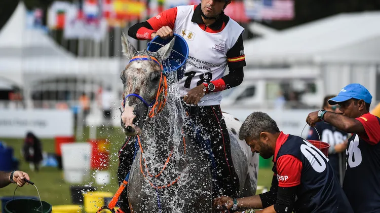Bien que concluant, le Test Event organisé à Boutheib a permis de mettre en lumière certaines améliorations nécessaires avant l’accueil des prochains championnats du monde d’endurance. 