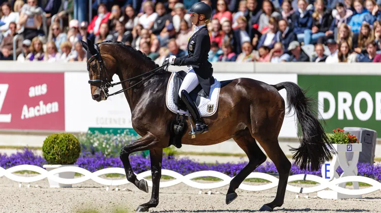 Jessica von Bredow-Werndl et TSF Dalera BB ont aujourd’hui remporté le Spécial malgré quelques fautes. 