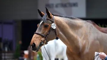 Dallas Vegas Batilly est souvent décrite comme extrêmement sensible, ce qui contribue selon son entourage à sa qualité. 