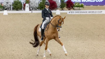 Comme celui de Malines, le Grand Prix de Neumünster a été dominé par la Belgique, avec Justin Verboomen sur Djembe de Hus (ici en photo) et Larissa Pauluis juchée sur Flambeau.