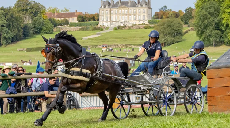 Rendez-vous du 3 au 6 juillet au Pin pour la dix-huitième édition de son concours international d’attelage 3*