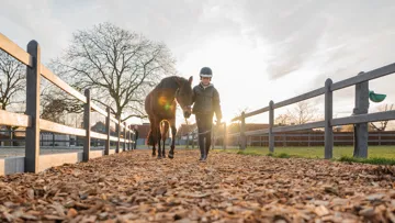 Les clôtures De Sutter Naturally, pour des chevaux au pré en toute sécurité !