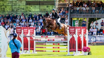 Issu du même élevage que les renommés Vénard et Uno de Cerisy, Joe de Cerisy s’est fait remarquer à la Grande Semaine en terminant troisième du championnat réservé aux entiers de six ans avec Déborah Lefebvre.