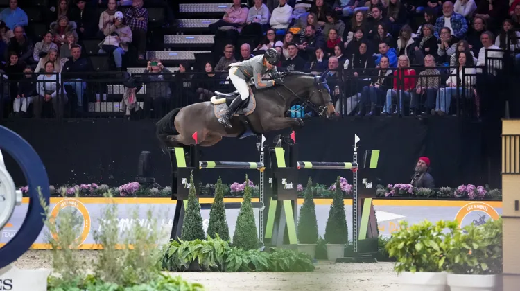 Simon Delestre et Cayman Jolly Jumper ont signé un sans-faute hier dans les quarts de finale de la Global Champions League, à Prague.