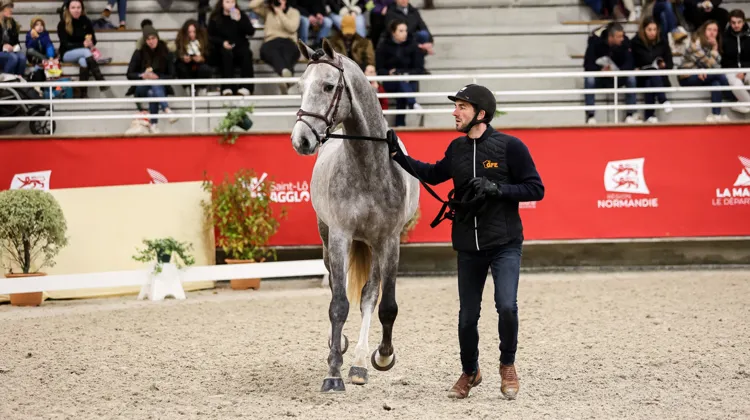 Kabri du Marais*GFE, une souche confirmée par des générations d’éleveurs