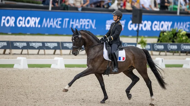 Pauline Basquin et Sertorius de Rima Z*IFCE, deuxièmes de l'épreuve aujourd'hui, ont battu leur record personnel. 
