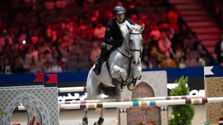 Tom Tarver-Priebe et Fiber Fresh Popeye à El Jadida aujourd'hui. 