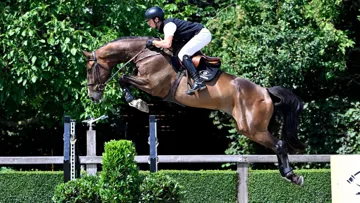 Des poulains, des jeunes et des chevaux montés exceptionnels !