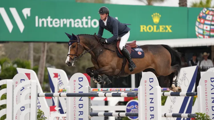 Ben Maher, en selle sur Ginger-Blue, remporte la première épreuve du CSIO 4* de Wellington 