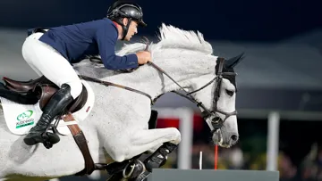 Particulièrement convoitée, Millfield Colette courra son premier grand championnat à douze ans, dans moins de vingt jours à La Corogne.