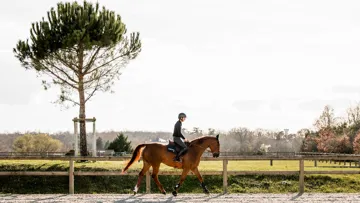 Depuis 2022, Antoine Ermann et Floyd des Prés évoluent à côté de Toulouse, aux écuries Chev’El, où ils bénéficient du meilleur accompagnement possible. 