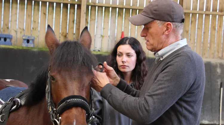 Le CS Éducation et travail des Jeunes Équidés propose une formation en alternance, alliant apprentissages au centre et immersion en entreprise.