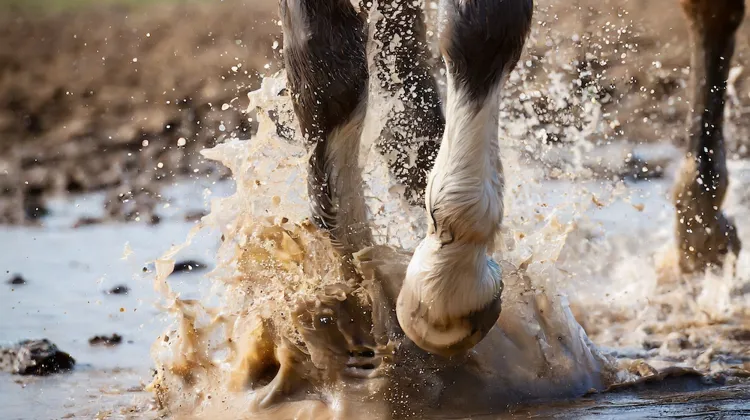 Webinaire gratuit : “happy avec les bactéries!”