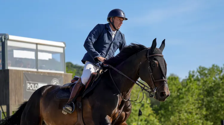 Nicolas Sers et Eleven de Riverland victorieux lors du CSI 3* de Gassin.