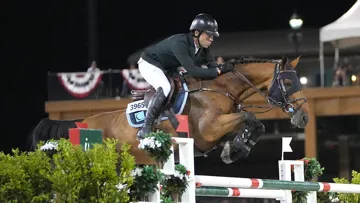 Vital Chance*de la Roque, meilleur Selle Français au classement mondial WBFSH
