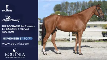 Chevaux de sport et embryons avancés par Hippochamp et Le Garzide, du 5 au 7 novembre