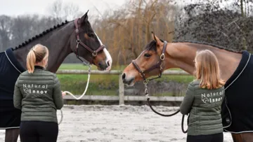 Natural'Innov enrichit sa gamme de compléments alimentaires et de soins 