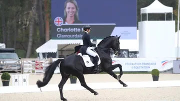 Ce matin, à Fontainebleau, les champions du monde en titre ont mis tout le monde d’accord. 