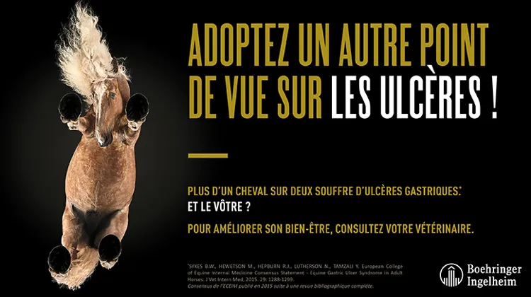 Adoptez un autre point de vue sur les ulcères