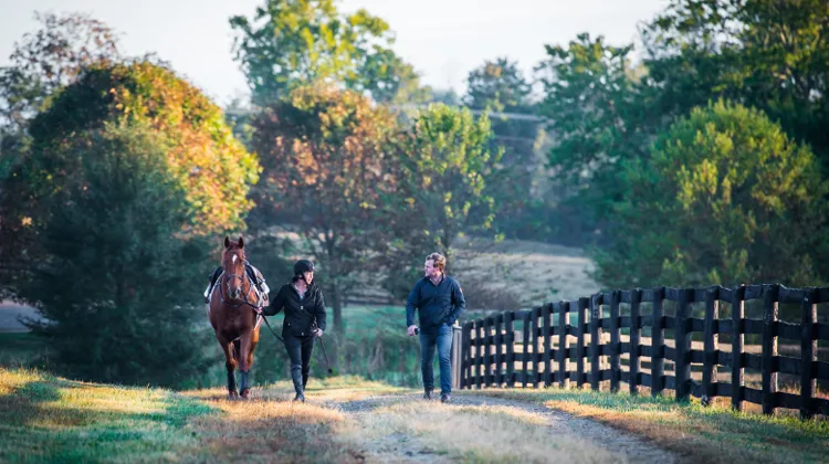Le système immunitaire 