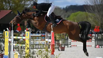 Le pôle européen du cheval le Mans revient en mars pour son CSI1* et CSI2*